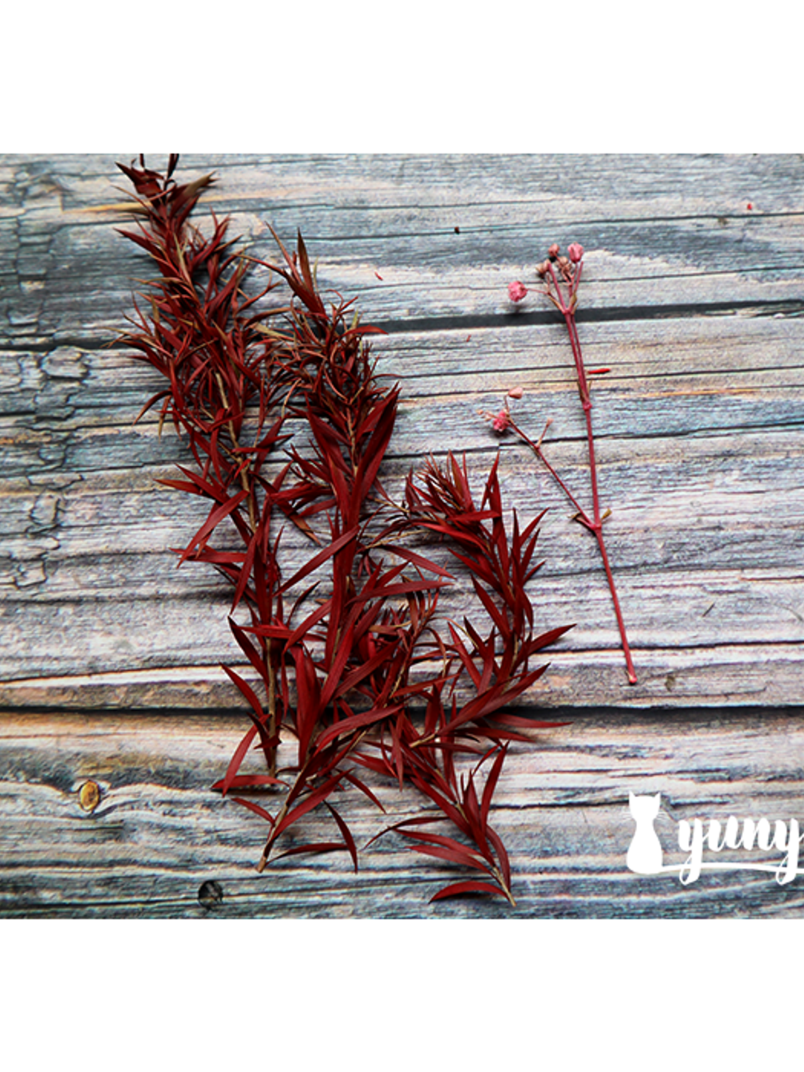 Box Flores Secas Rojas 9