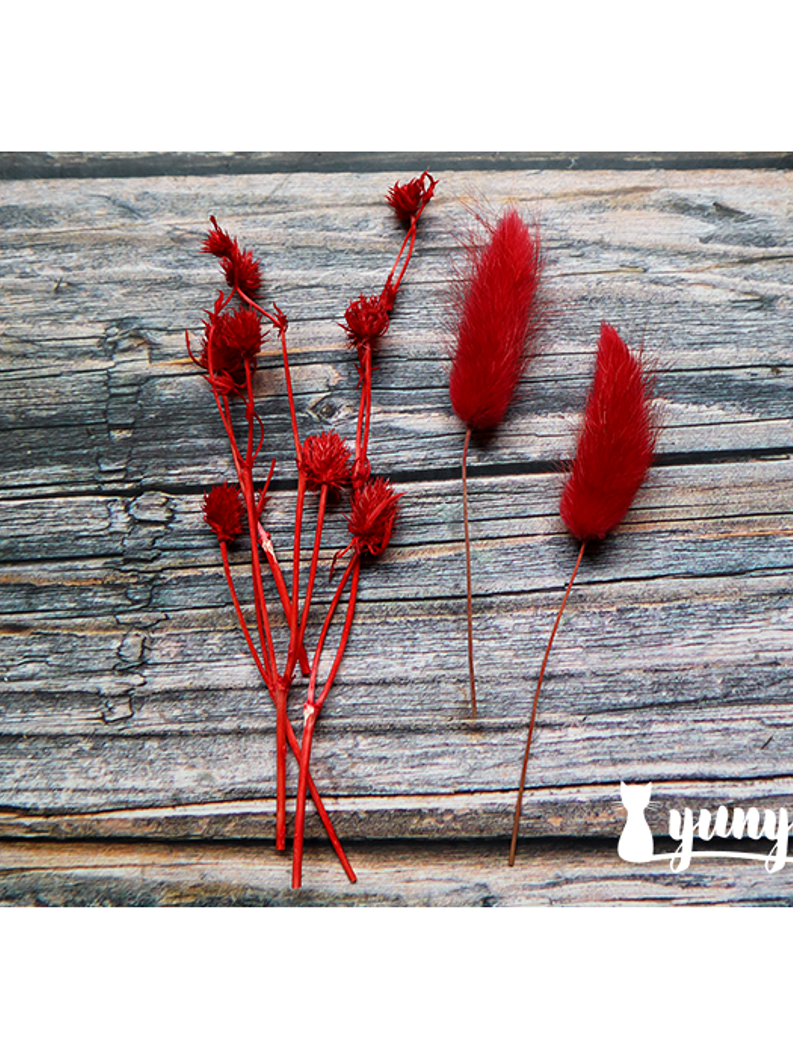 Box Flores Secas Rojas 10