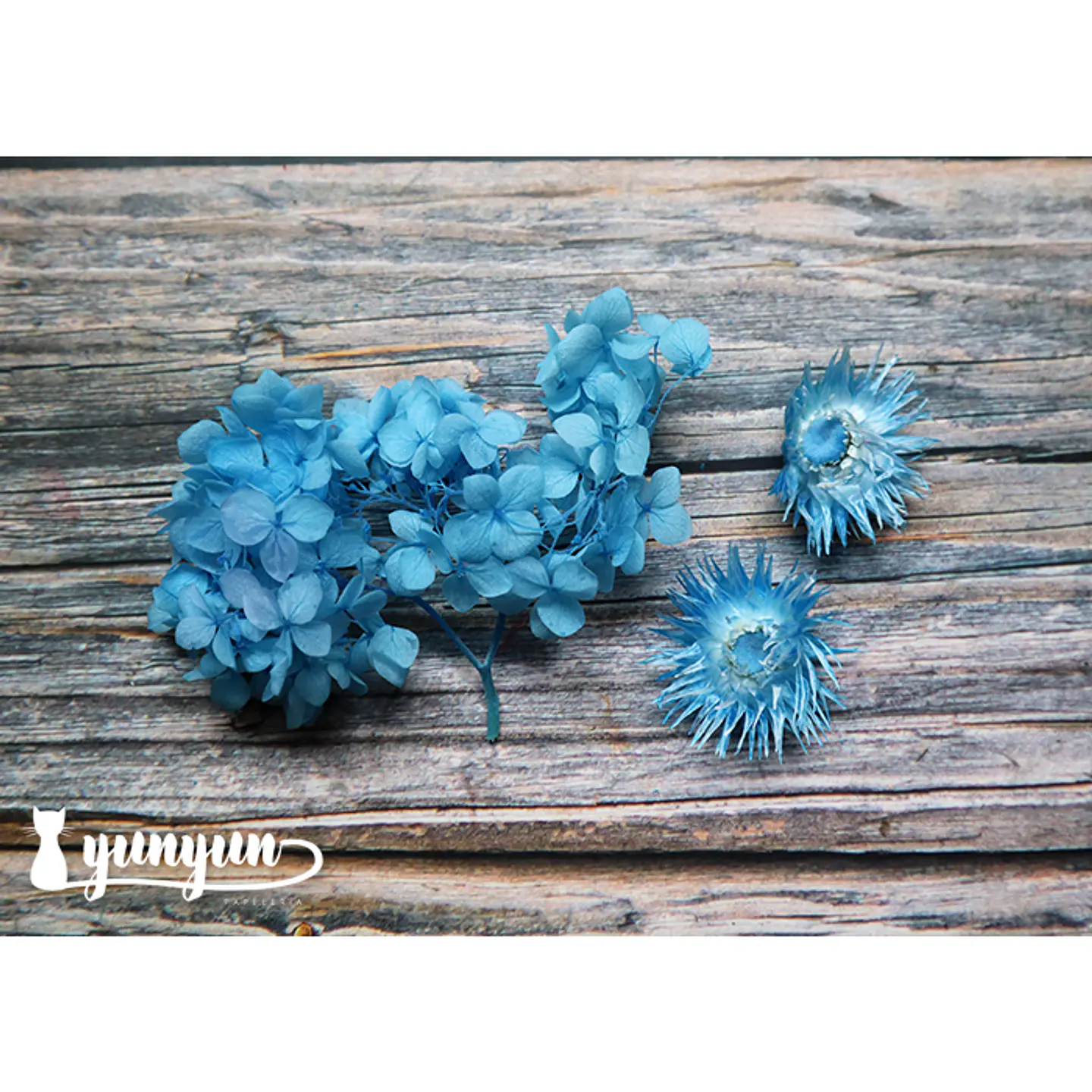 Box Flores Secas Celeste 3