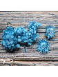 Box Flores Secas Celeste - Miniatura 3