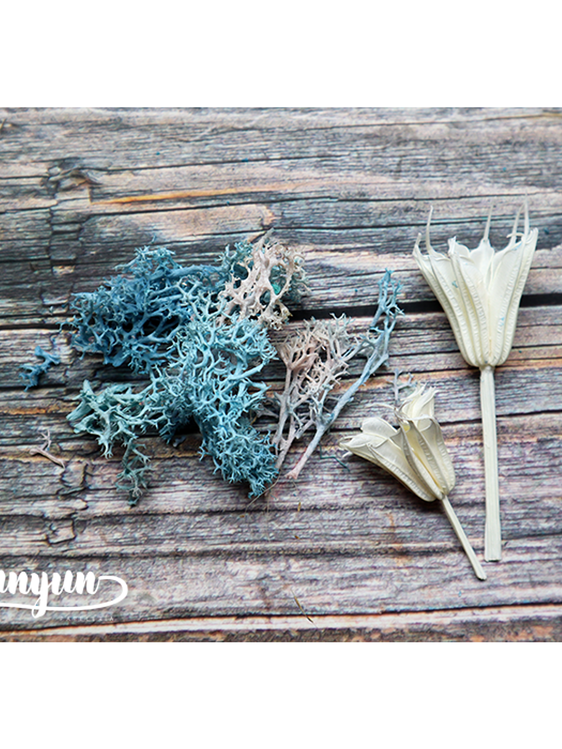 Box Flores Secas Celeste 4