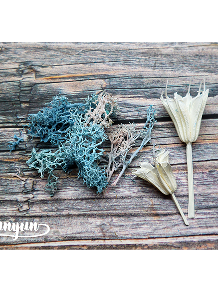 Box Flores Secas Celeste 4