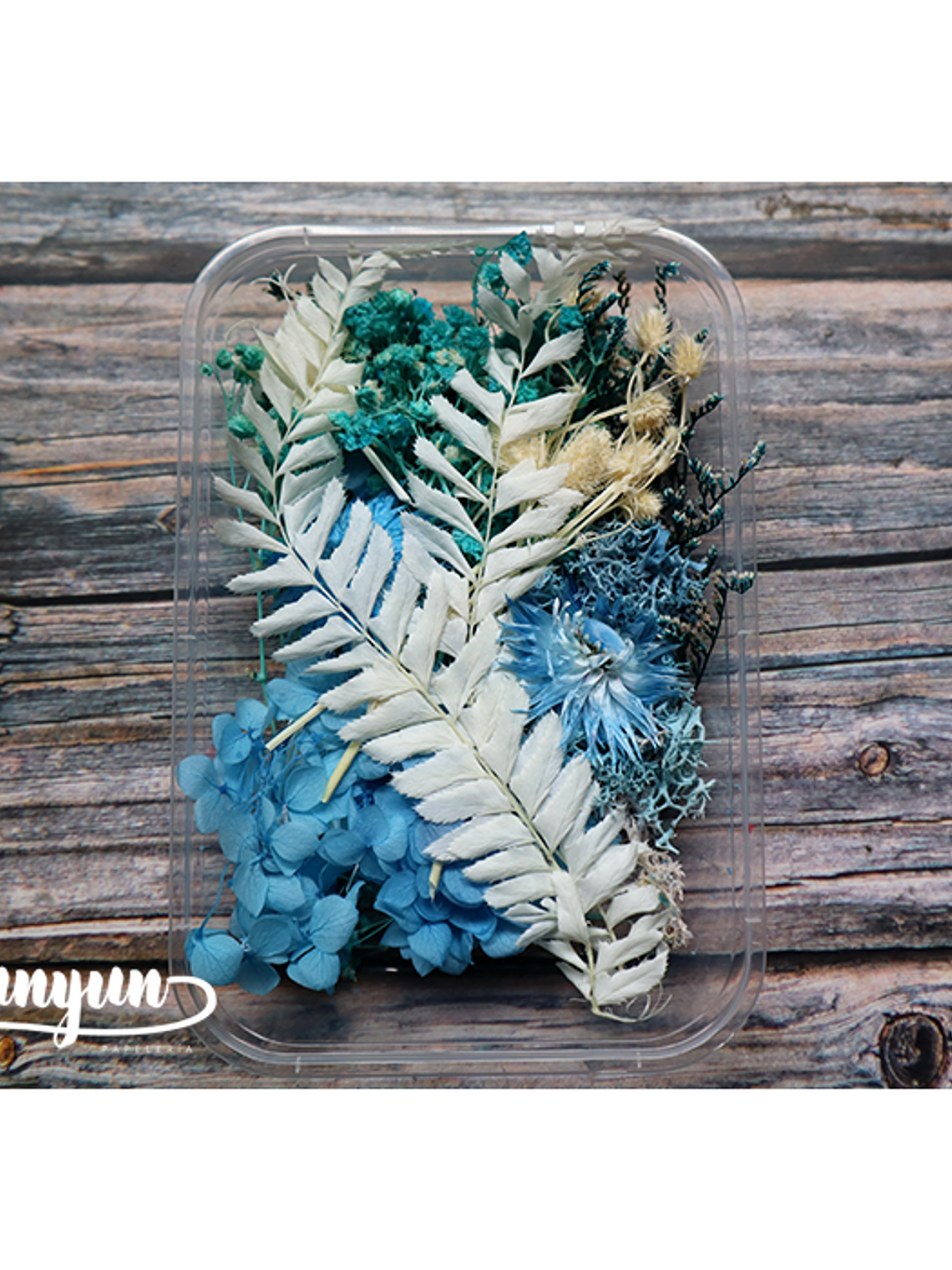 Box Flores Secas Celeste 1