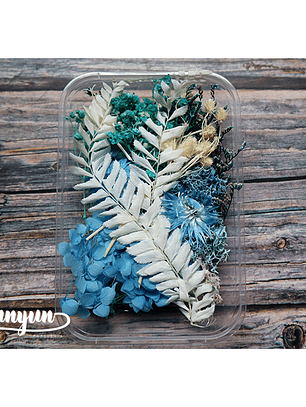 Box Flores Secas Celeste