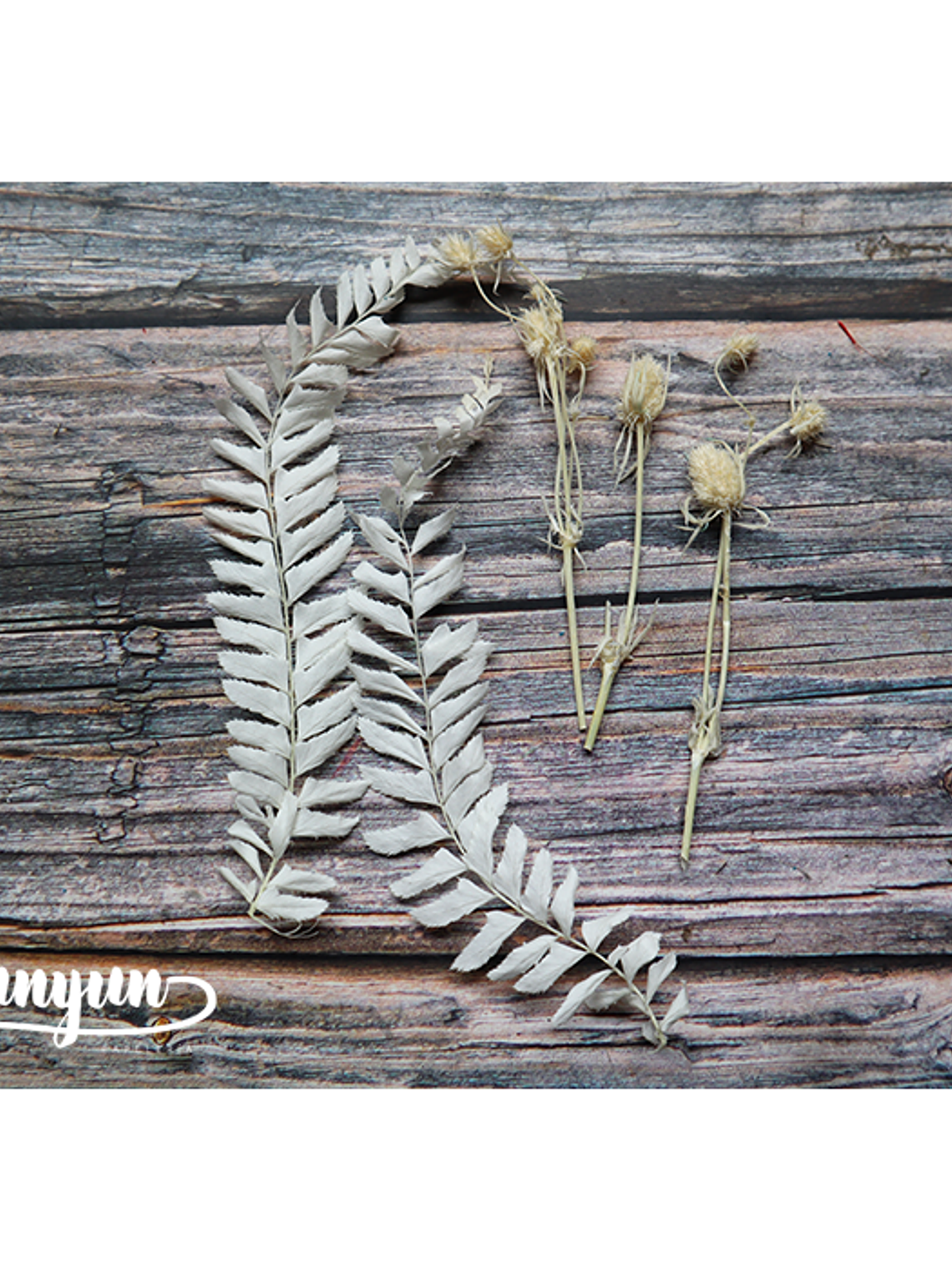 Box Flores Secas Celeste 5