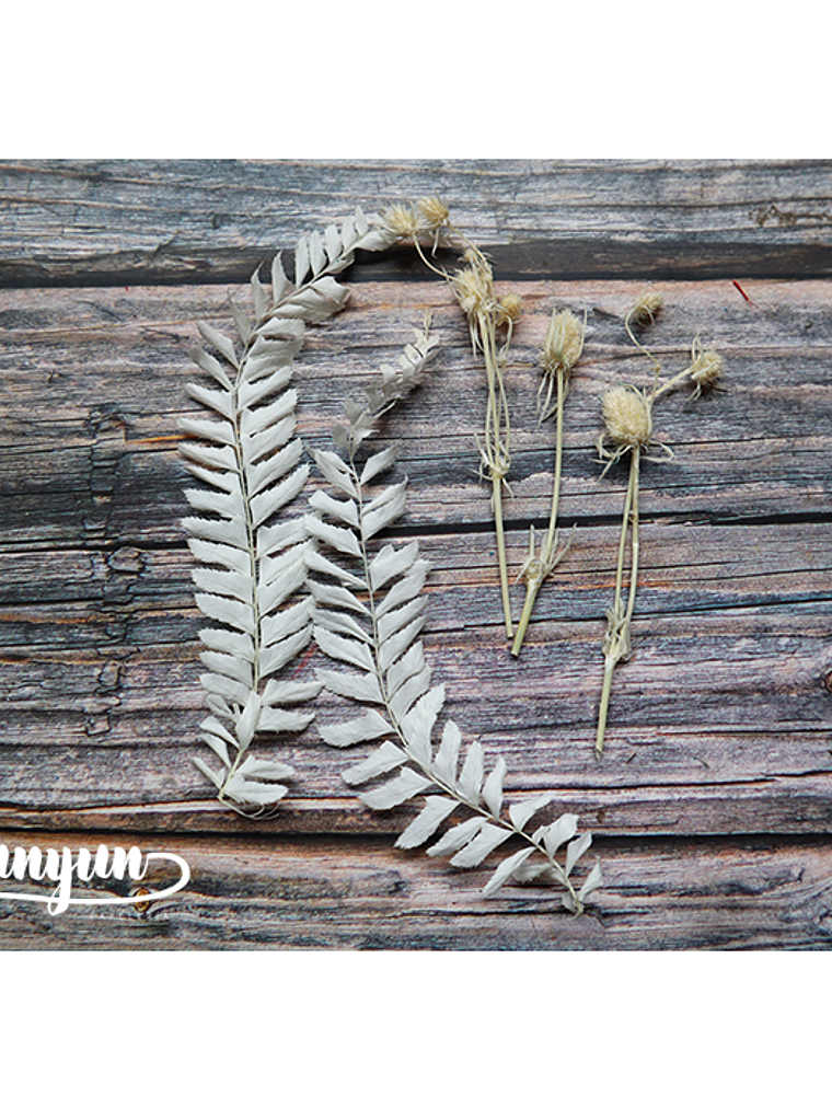 Box Flores Secas Celeste 5