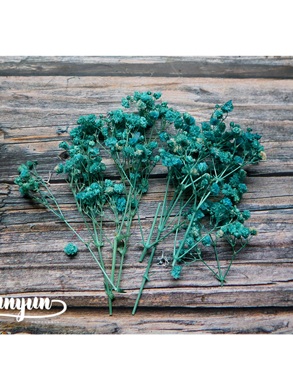 Box Flores Secas Celeste 6