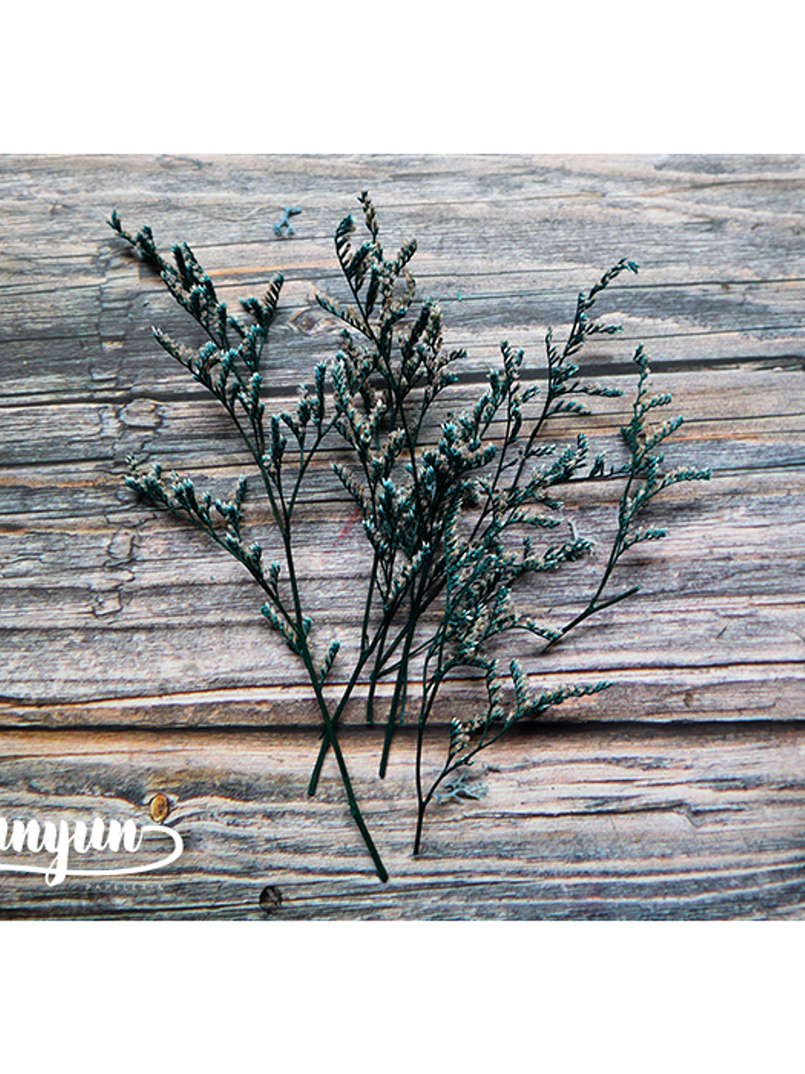 Box Flores Secas Celeste 7