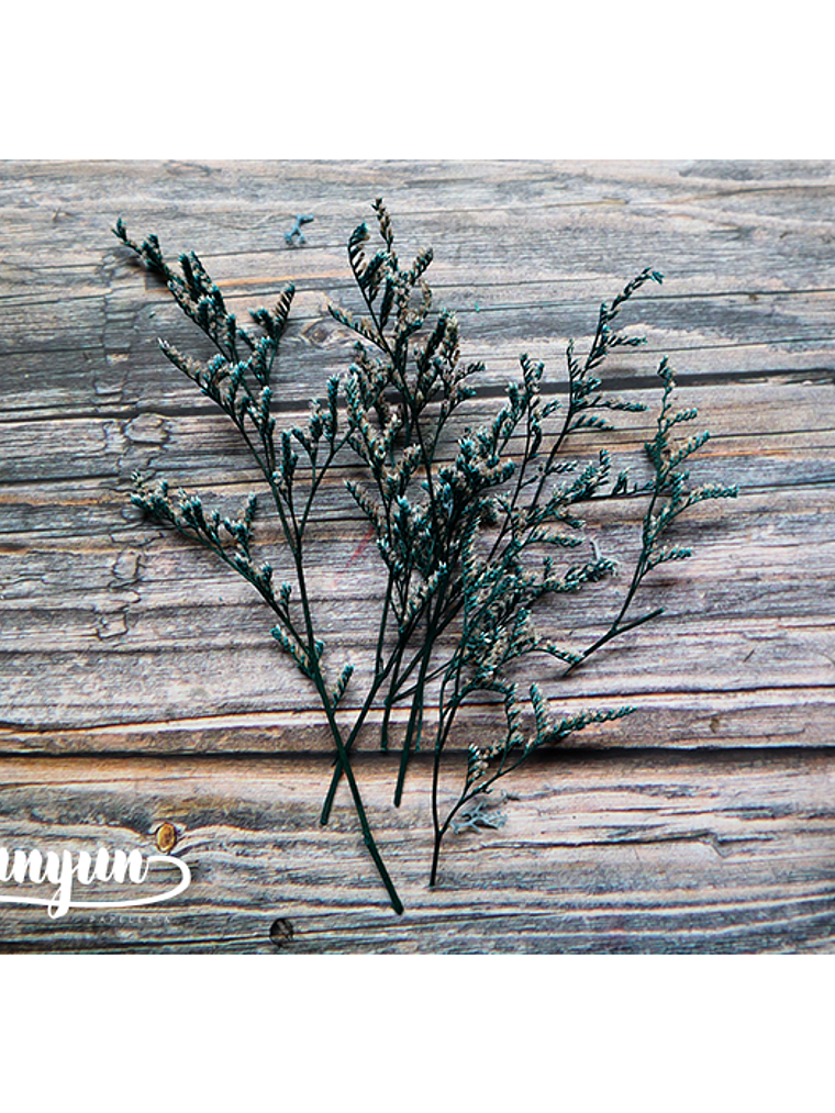 Box Flores Secas Celeste 7