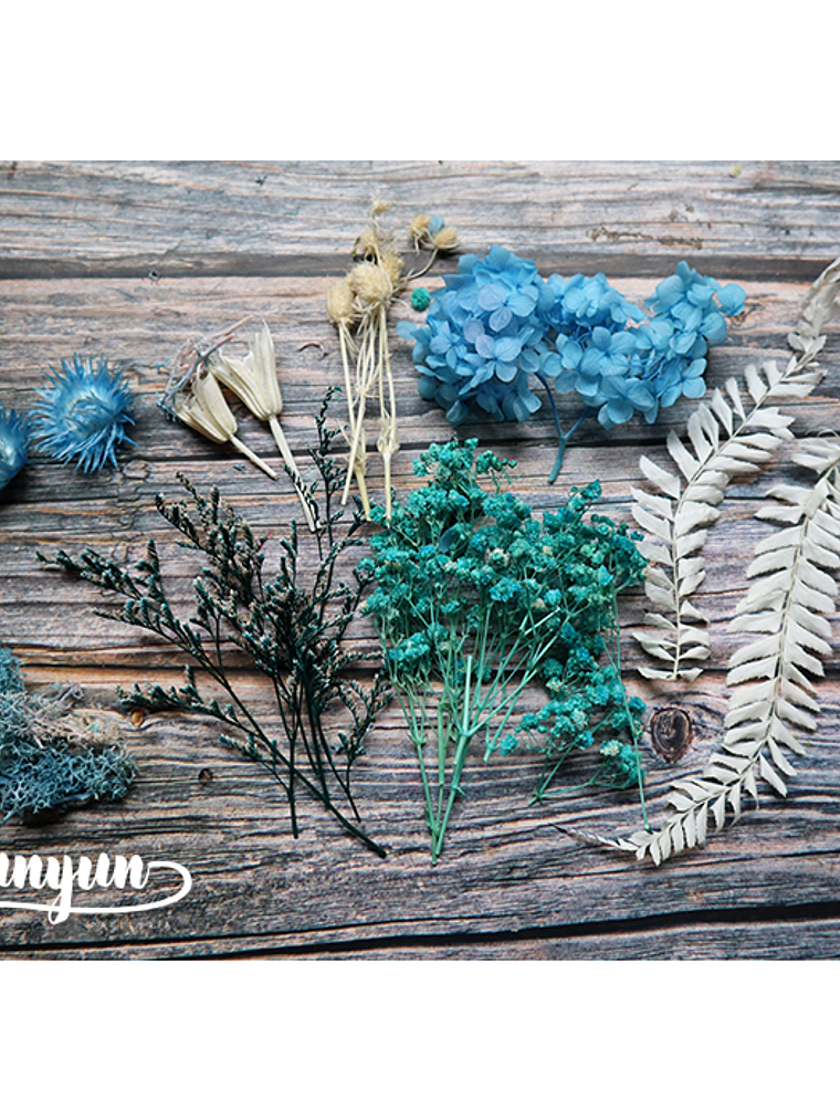 Box Flores Secas Celeste 2