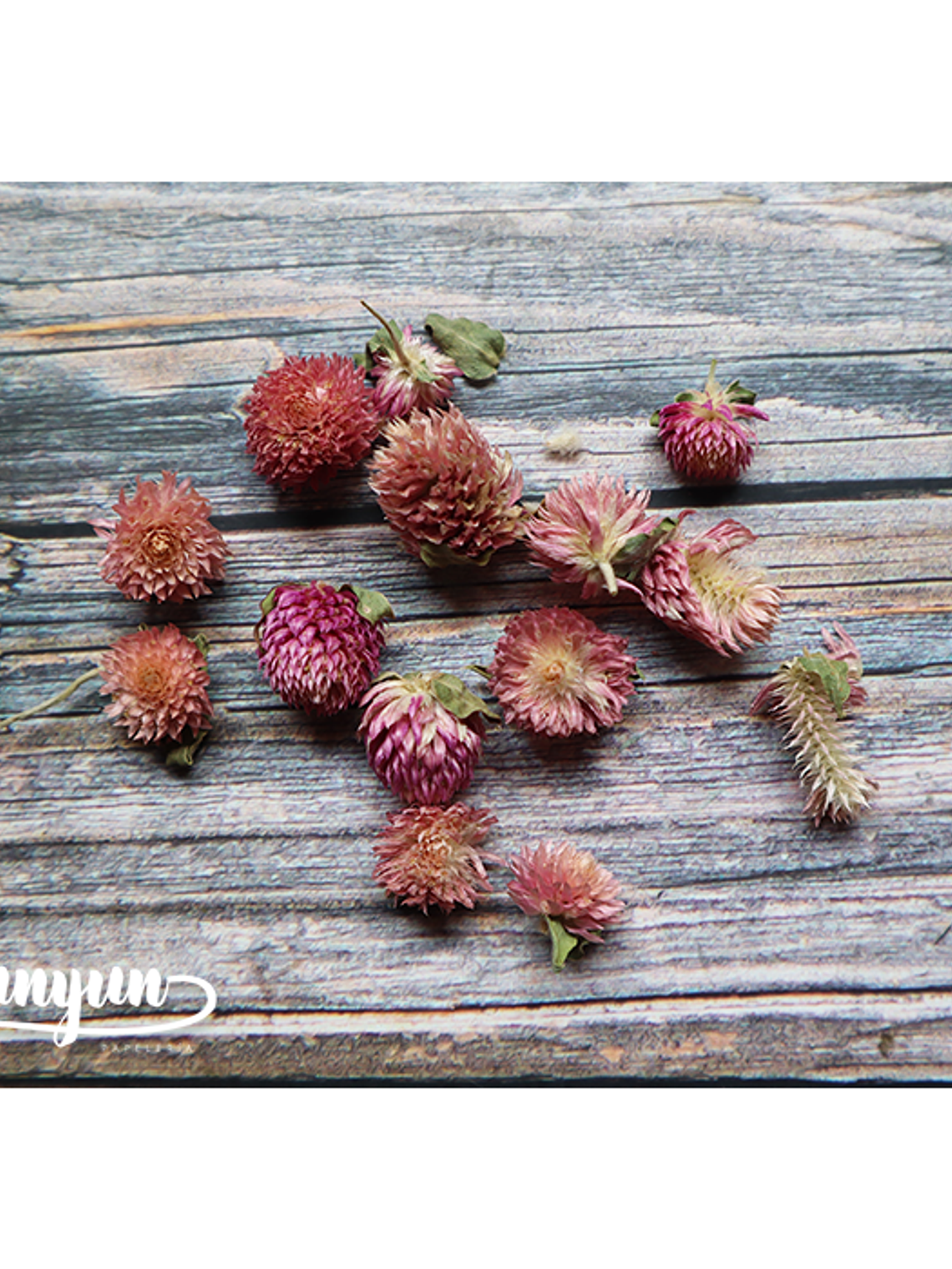 Box Flores Secas Rosa 3