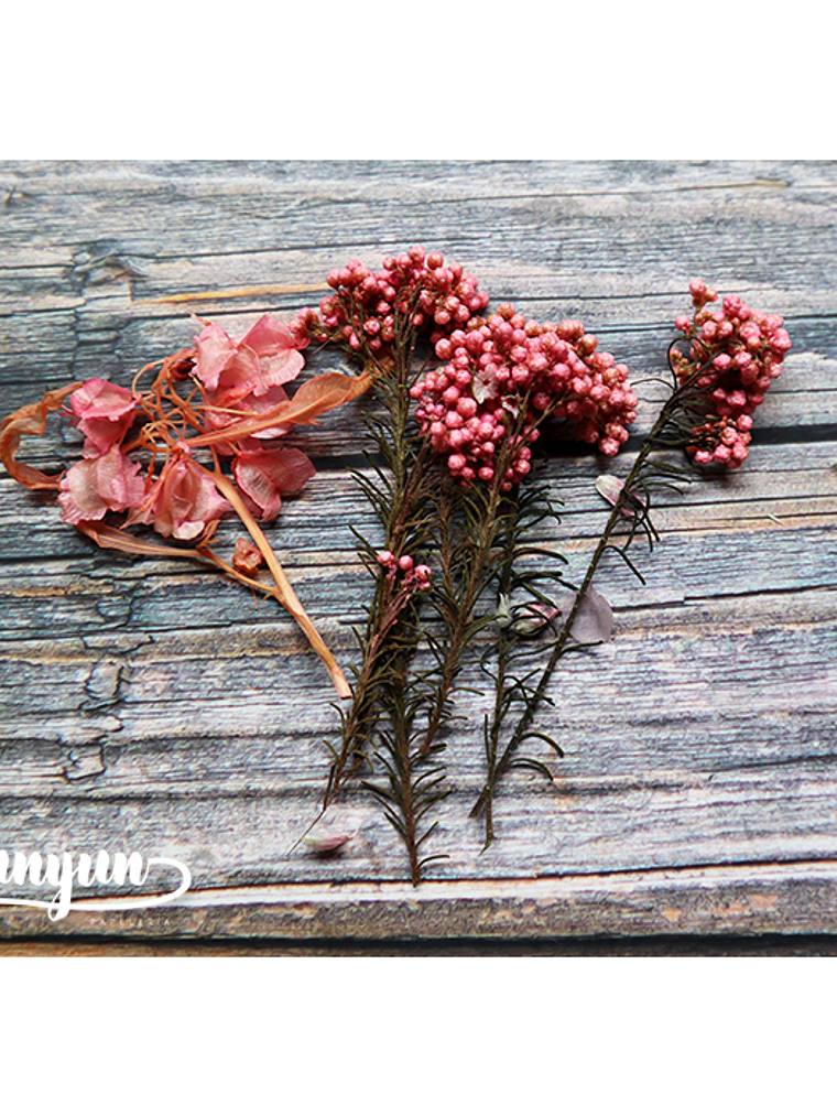 Box Flores Secas Rosa 4