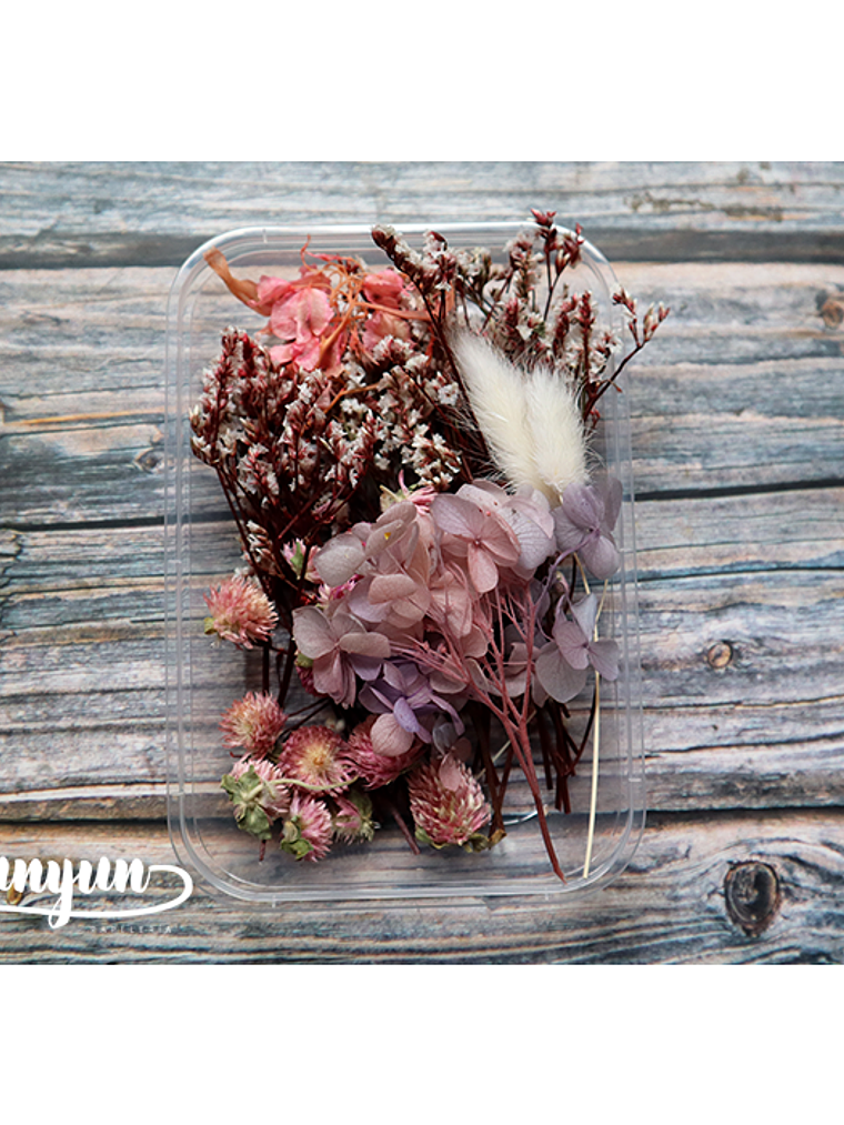 Box Flores Secas Rosa 1