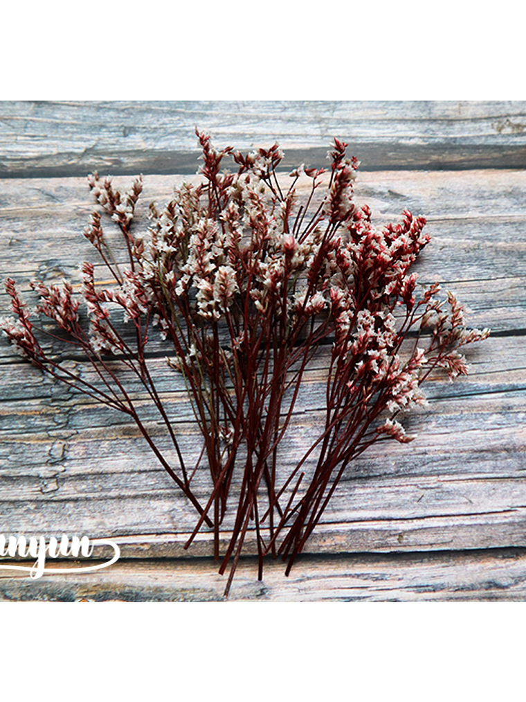 Box Flores Secas Rosa 6