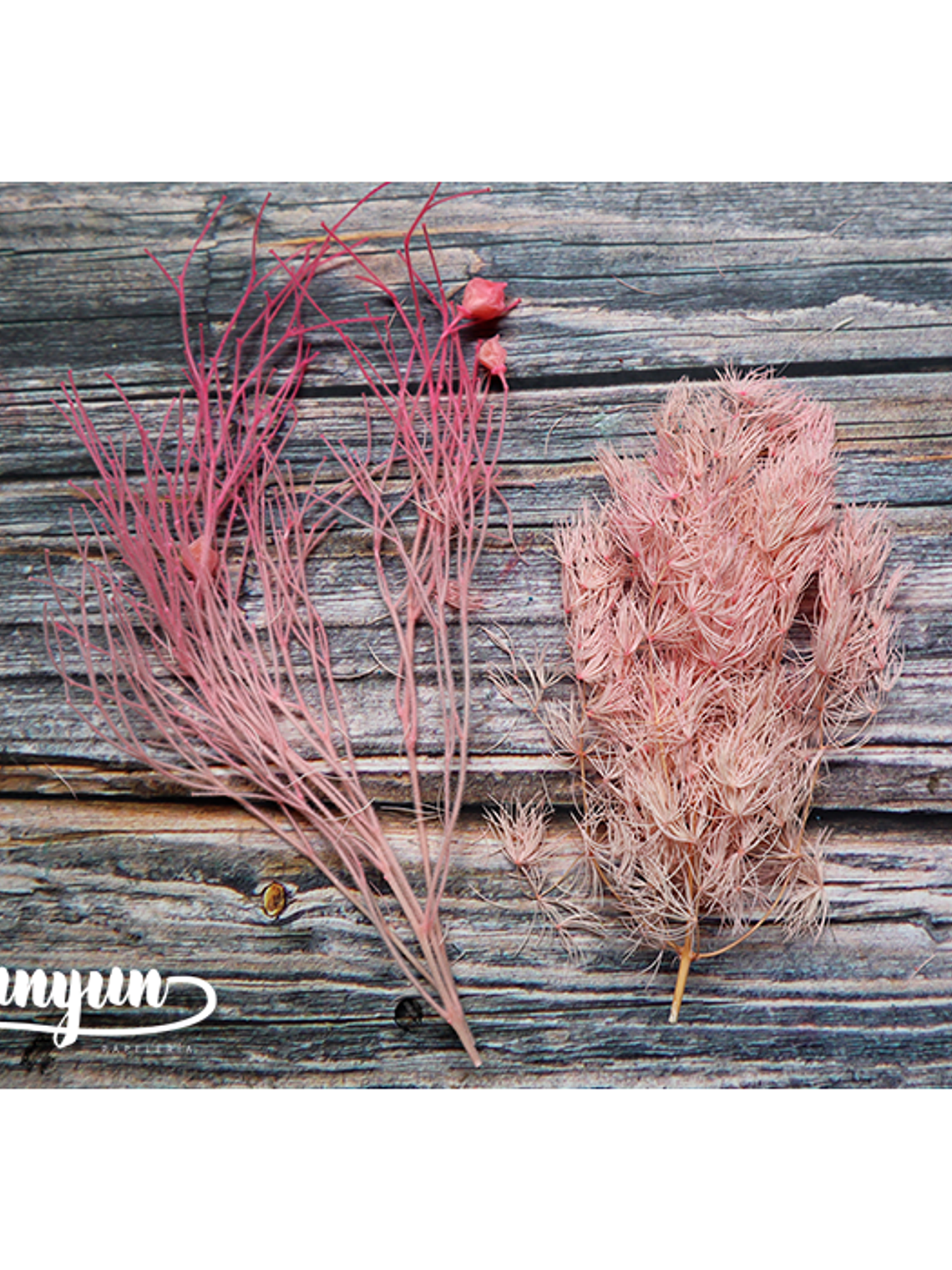 Box Flores Rosa - 10 pzas 3