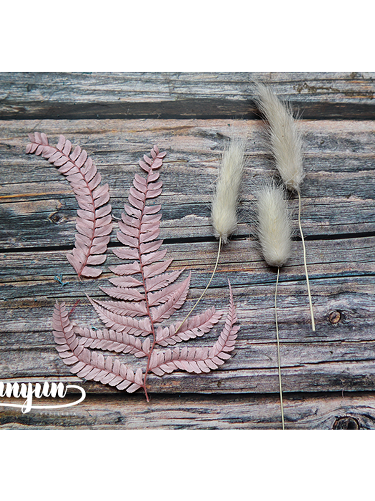 Box Flores Rosa - 10 pzas 5