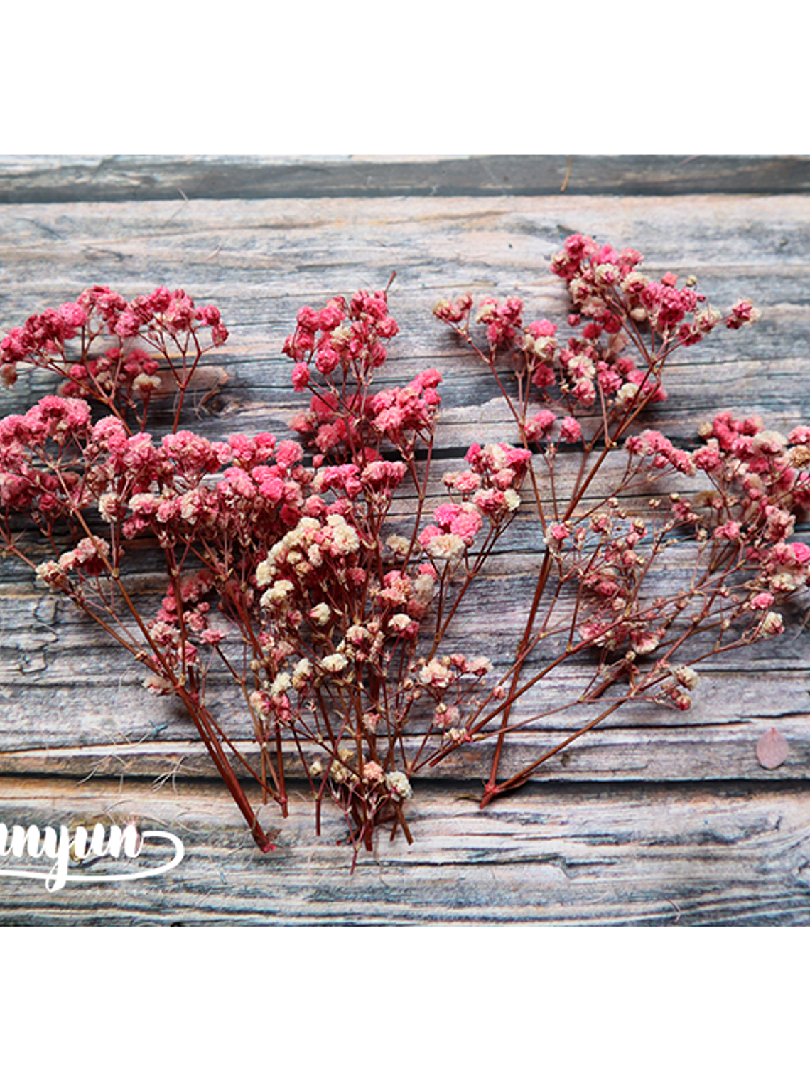 Box Flores Secas Rosa III  3