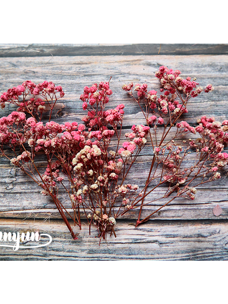 Box Flores Secas Rosa III  3