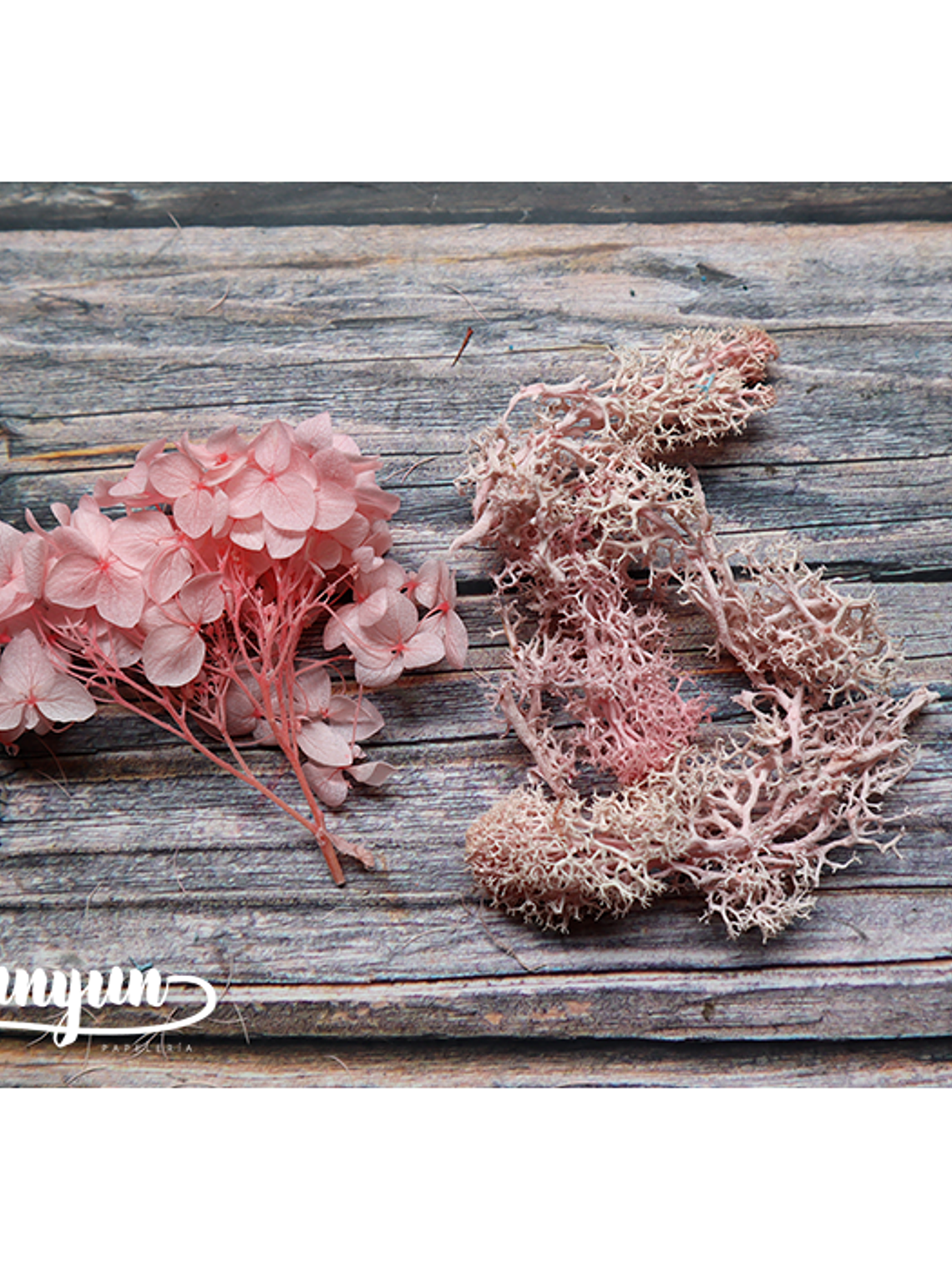 Box Flores Secas Rosa III  5