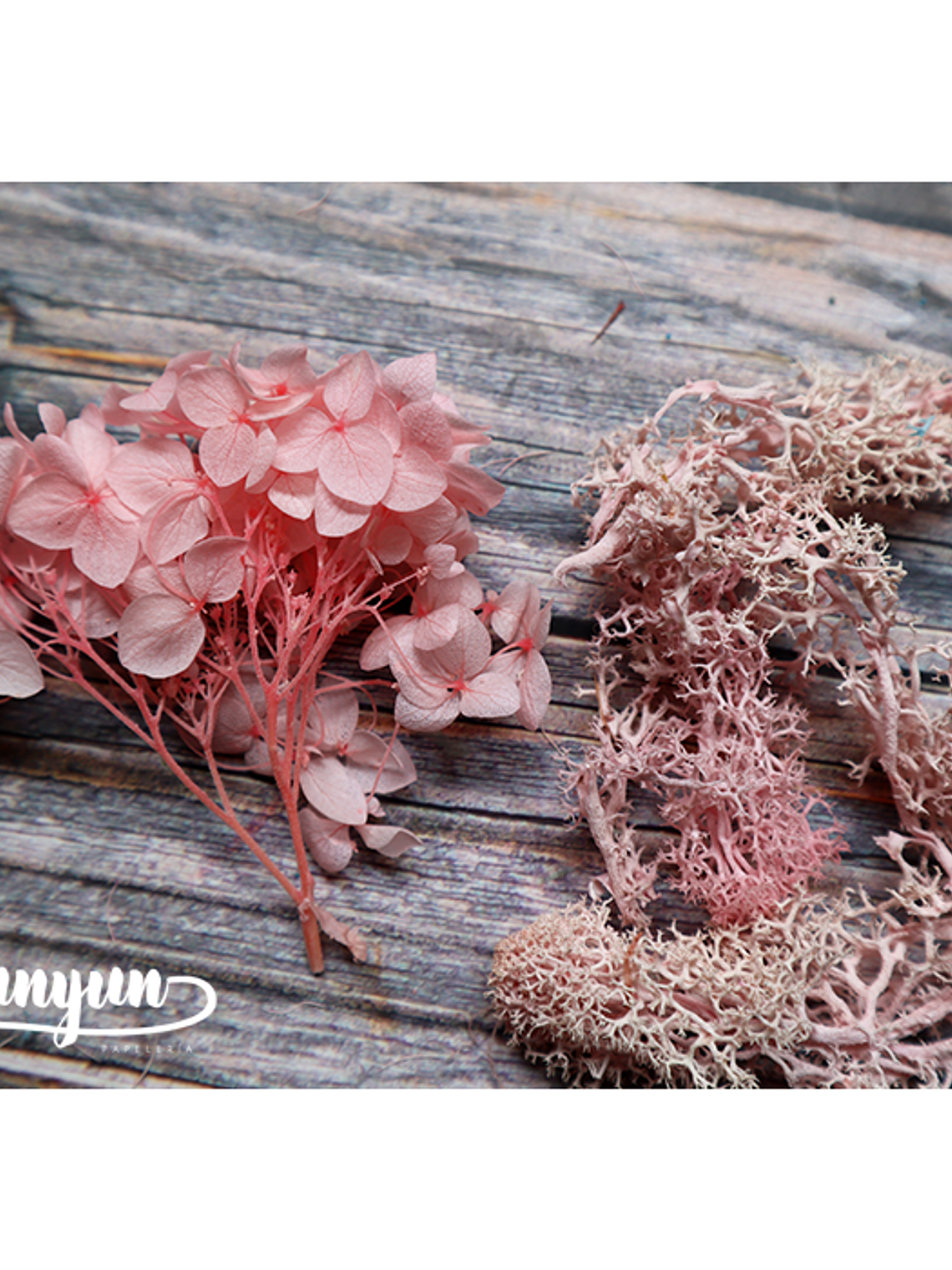 Box Flores Secas Rosa III  6