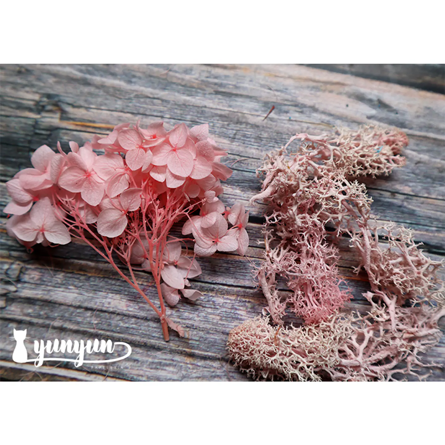 Box Flores Secas Rosa III  6