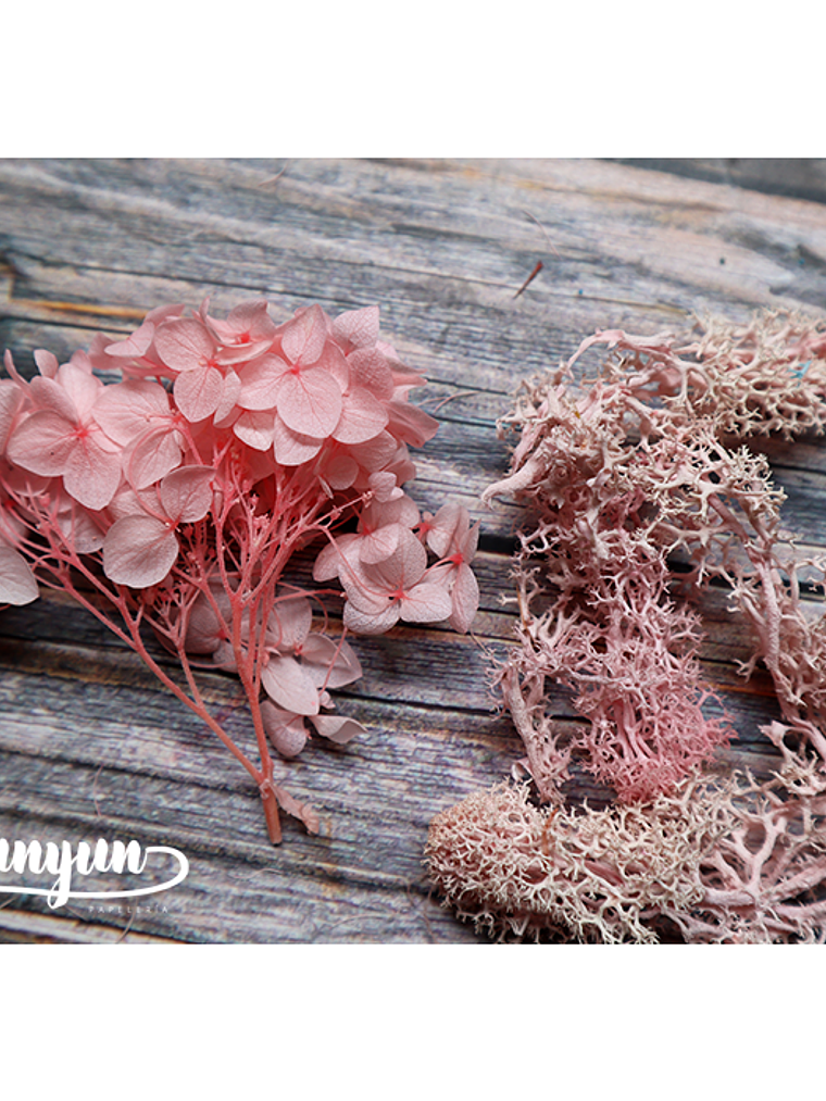 Box Flores Secas Rosa III  6