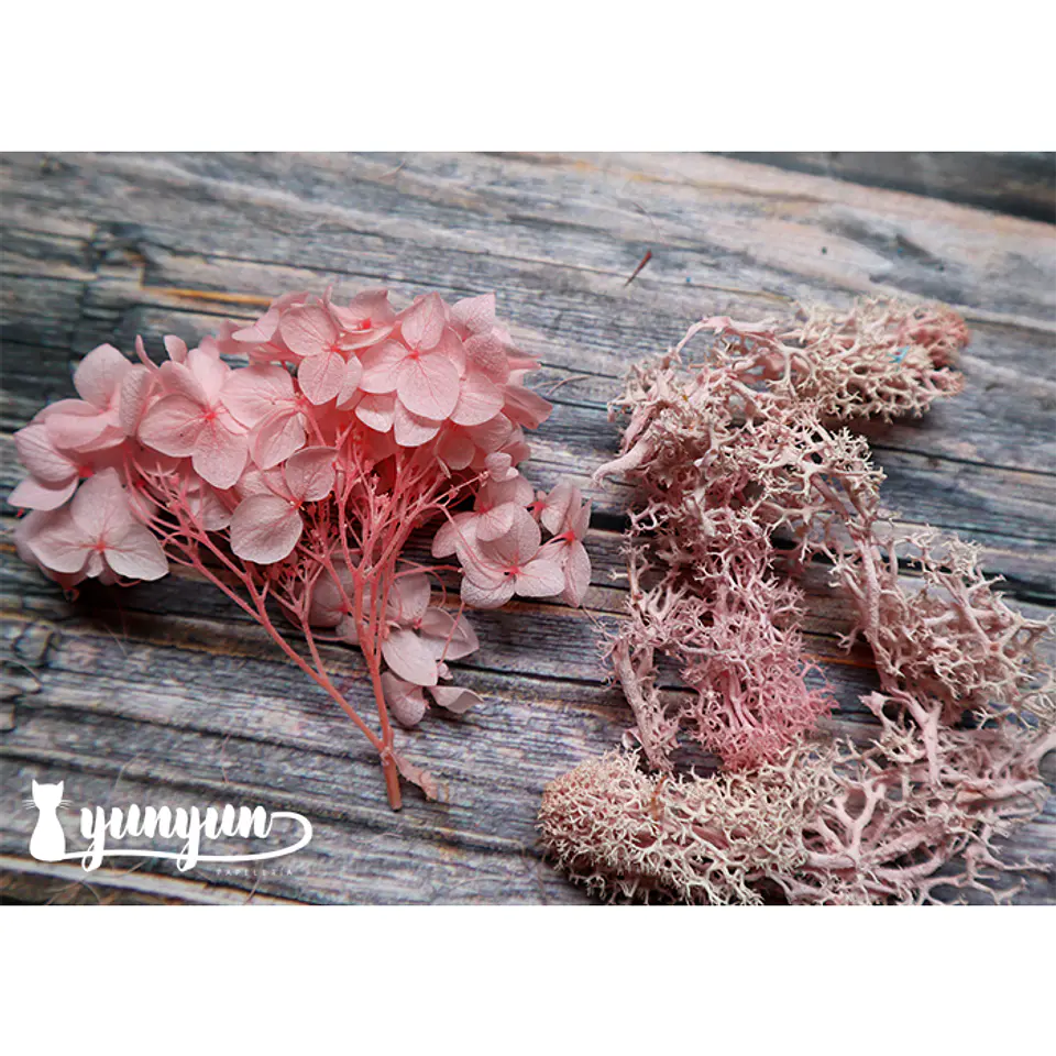 Box Flores Secas Rosa III  6