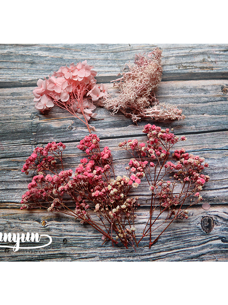 Box Flores Secas Rosa III  2