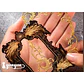 Stickers Gilded Photo Frame - 10 pzas - Miniatura 5