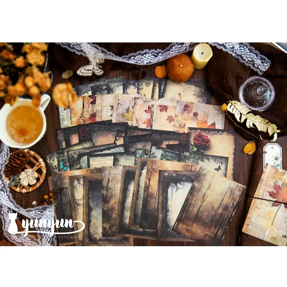Papeles Vintage Collection - 20 pzas 3