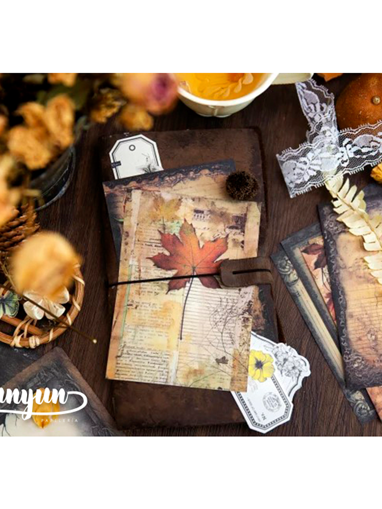 Papeles Vintage Collection - 20 pzas 4