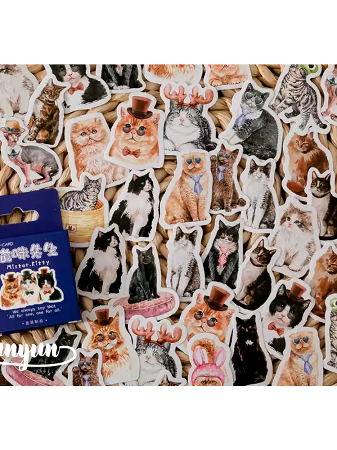 Caja Stickers Gatitos - 45 pzas 1