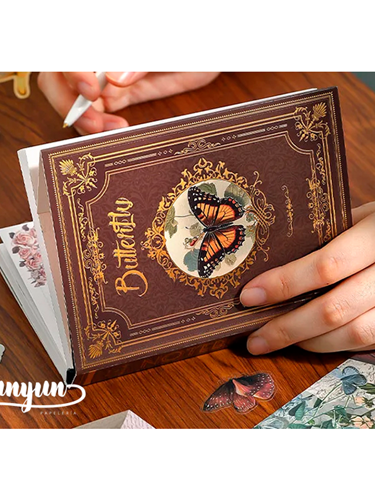 Butterfly Gift Box I - 140 pzas 3