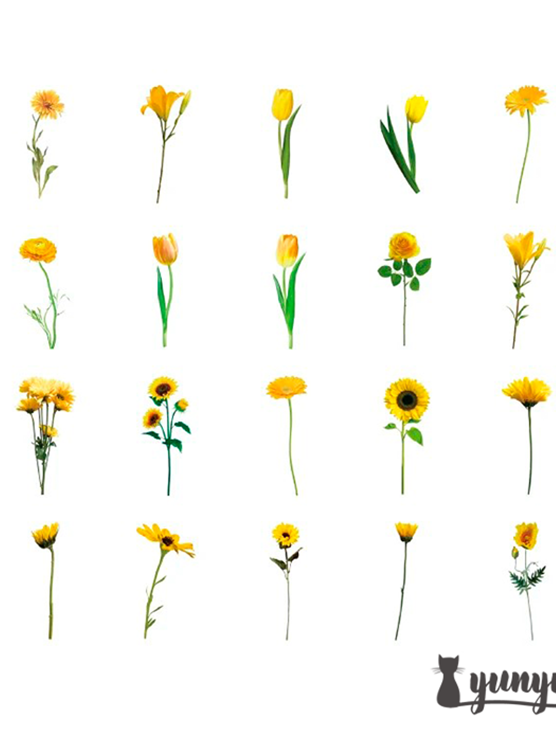 Flower Stickers - 30 pzas 9