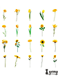 Flower Stickers - 30 pzas - Miniatura 9