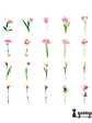 Flower Stickers - 30 pzas - Miniatura 10