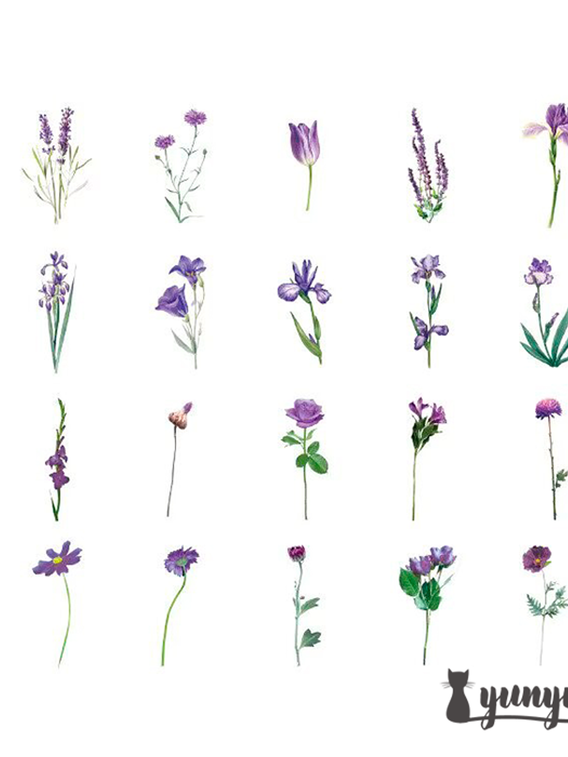 Flower Stickers - 30 pzas 13