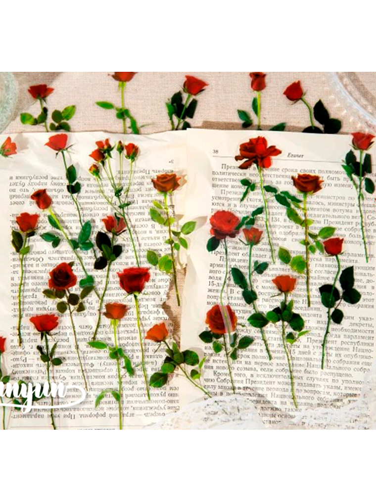 Flower Stickers - 30 pzas 5