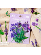 Flower Stickers - 30 pzas - Miniatura 4