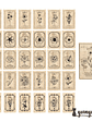 Caja Stickers Flores Vintage - 30 pzas - Miniatura 3
