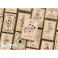 Caja Stickers Flores Vintage - 30 pzas - Miniatura 1