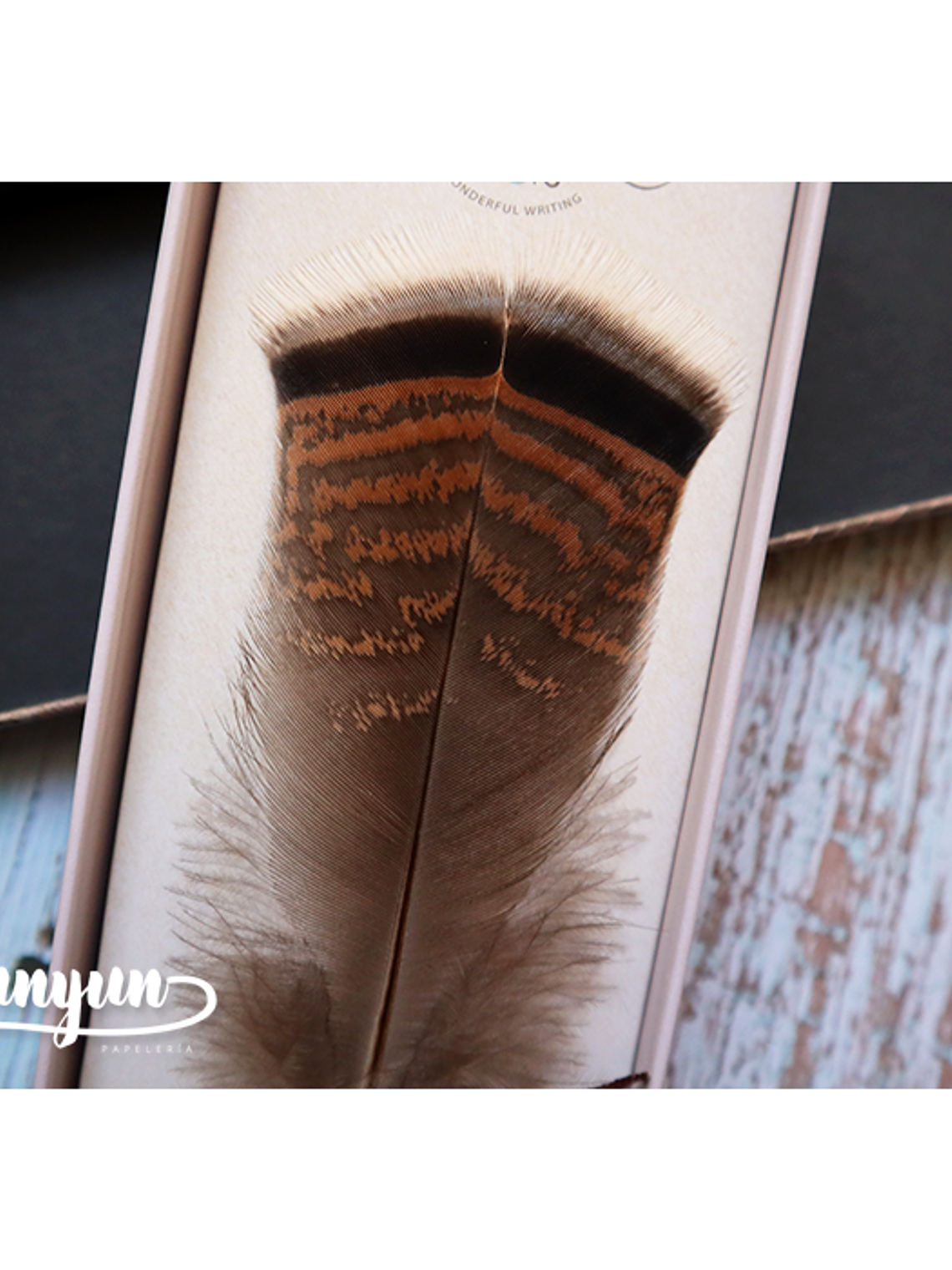 Box Pluma de Inmersión Café II - 1 pza 2