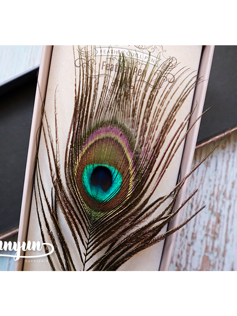 Box Pluma de Inmersión Pavo Real II - 1 pza 2