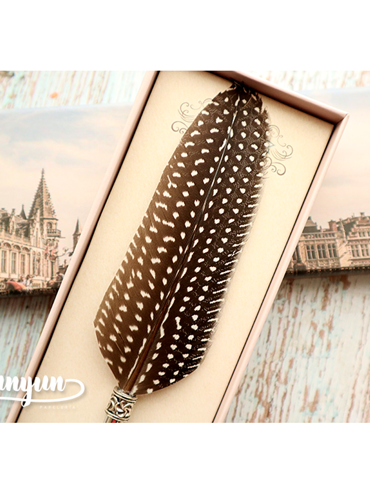 Box Pluma de Inmersión Café con Puntos - 1 pza 3