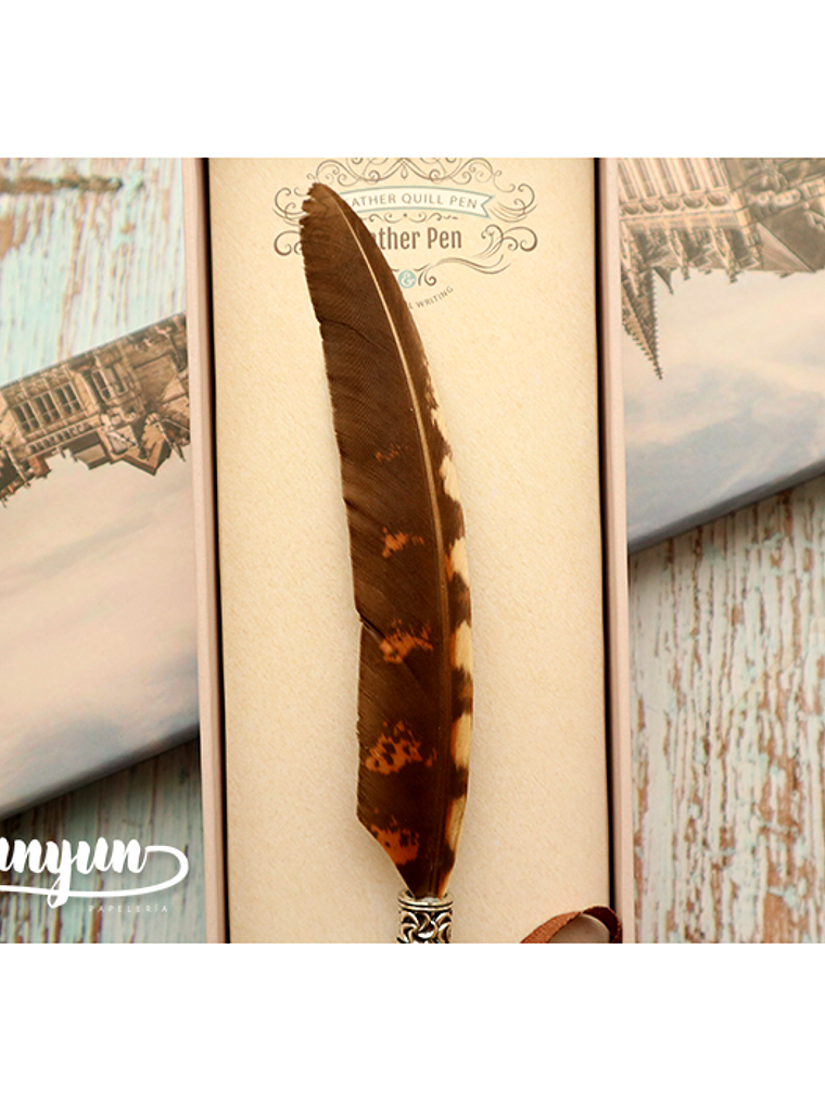 Box Pluma de Inmersión Café II - 1 pza 2