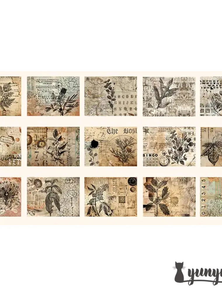 Papeles Vintage Collection - 30 pzas 9