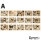 Papeles Vintage Collection - 30 pzas - Miniatura 8