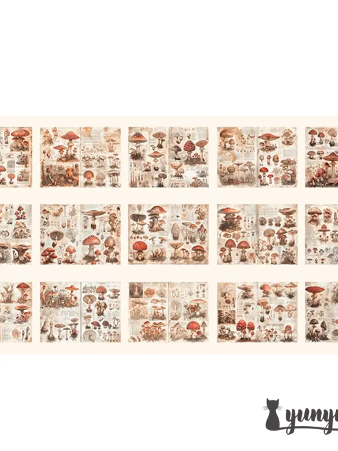 Papeles Vintage Collection - 30 pzas 10