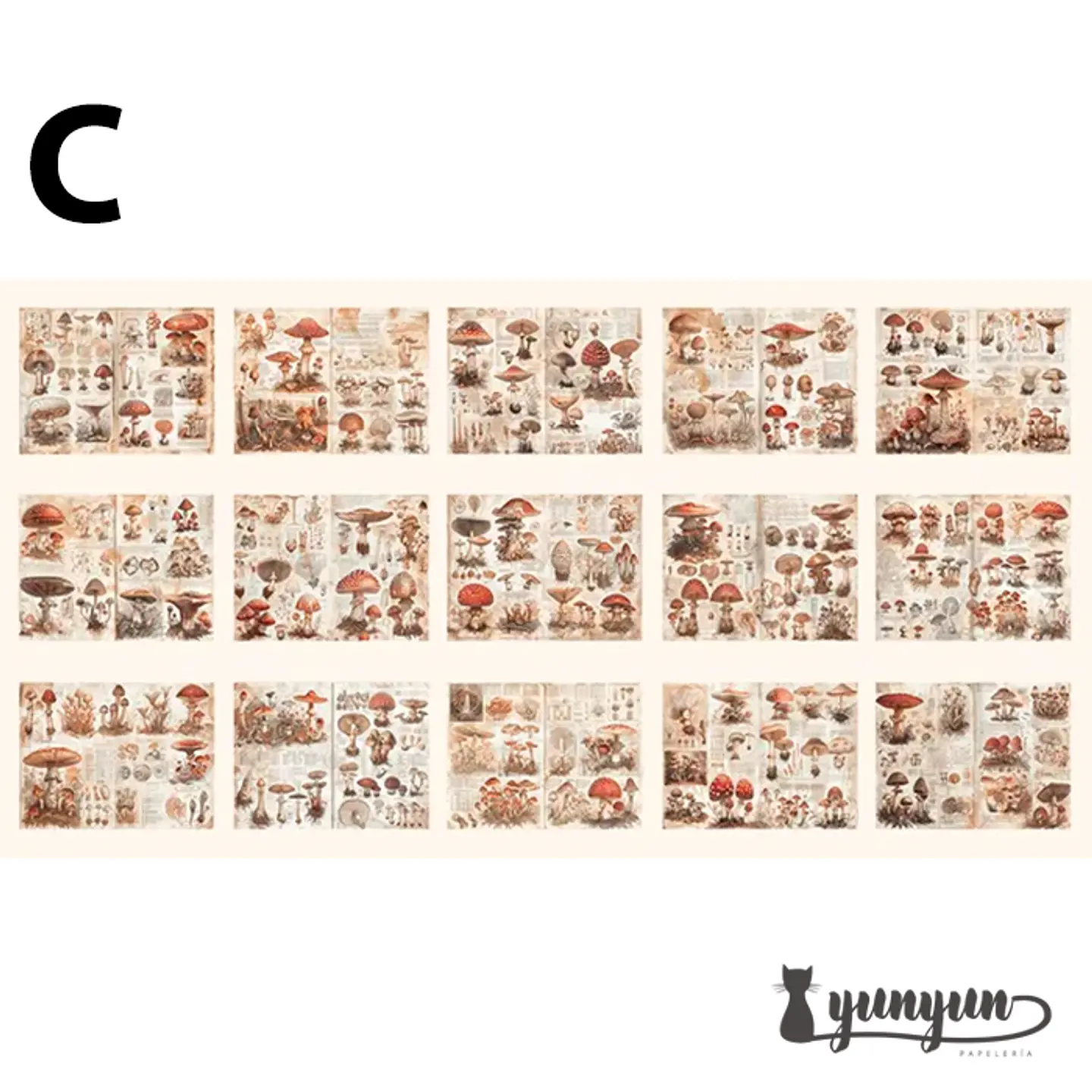 Papeles Vintage Collection - 30 pzas 10