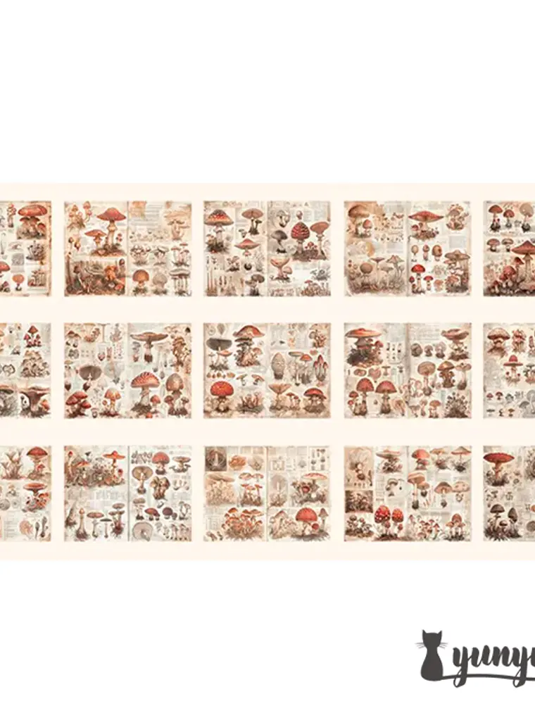 Papeles Vintage Collection - 30 pzas 10